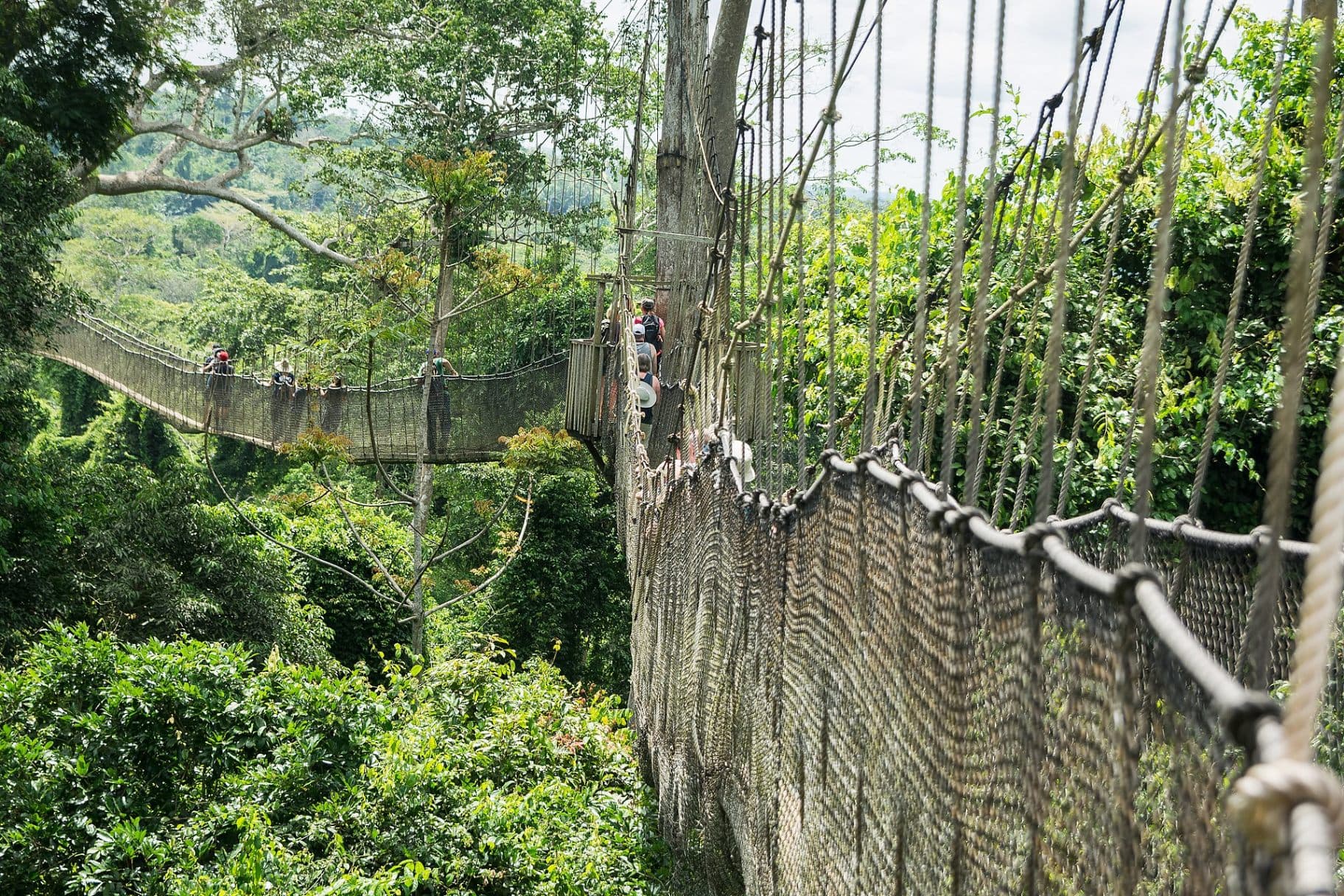 Kakum National Park