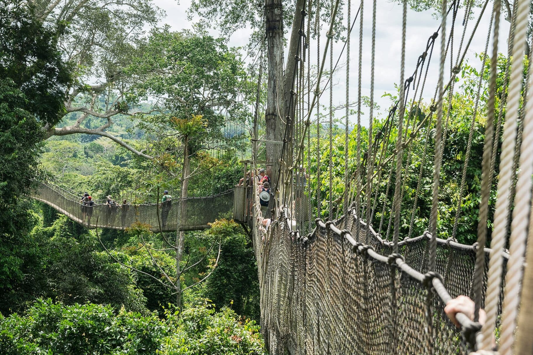 Kakum National Park